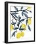 The Lemon Tree's Gift-Kristine Hegre-Framed Art Print