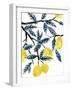 The Lemon Tree's Gift-Kristine Hegre-Framed Art Print