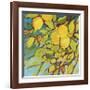 The Lemons Above-Jennifer Lommers-Framed Giclee Print