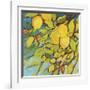 The Lemons Above-Jennifer Lommers-Framed Giclee Print