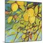 The Lemons Above-Jennifer Lommers-Mounted Giclee Print