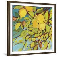 The Lemons Above-Jennifer Lommers-Framed Giclee Print