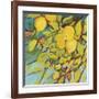 The Lemons Above-Jennifer Lommers-Framed Giclee Print