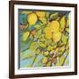 The Lemons Above-Jennifer Lommers-Framed Giclee Print