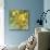 The Lemons Above-Jennifer Lommers-Mounted Giclee Print displayed on a wall