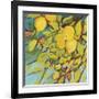 The Lemons Above-Jennifer Lommers-Framed Giclee Print