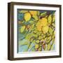 The Lemons Above-Jennifer Lommers-Framed Art Print