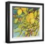 The Lemons Above-Jennifer Lommers-Framed Art Print