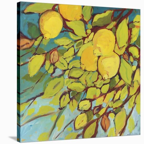 The Lemons Above-Jennifer Lommers-Stretched Canvas