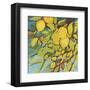 The Lemons Above-Jennifer Lommers-Framed Art Print