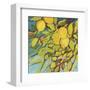 The Lemons Above-Jennifer Lommers-Framed Art Print