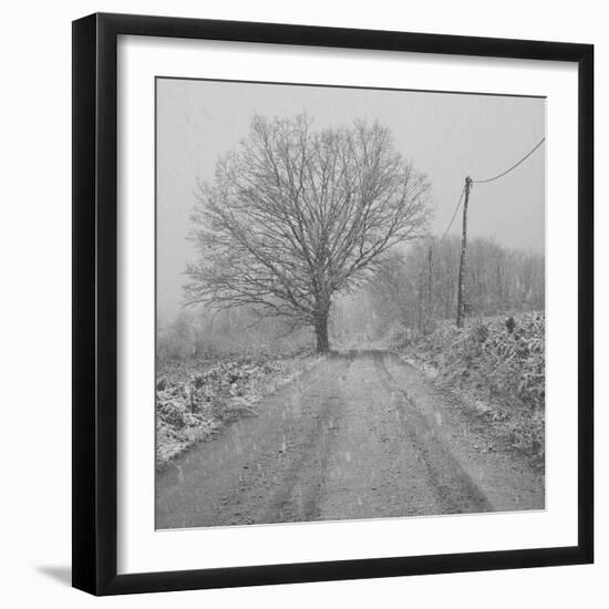 The Lengths-Tomislav Bogovic-Framed Photographic Print