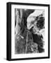 The Leopard 1963 (Il Gattopardo)-null-Framed Photographic Print