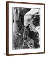 The Leopard 1963 (Il Gattopardo)-null-Framed Photographic Print