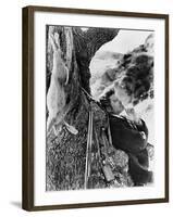 The Leopard 1963 (Il Gattopardo)-null-Framed Photographic Print