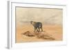 The Leopard 2-Ata Alishahi-Framed Giclee Print