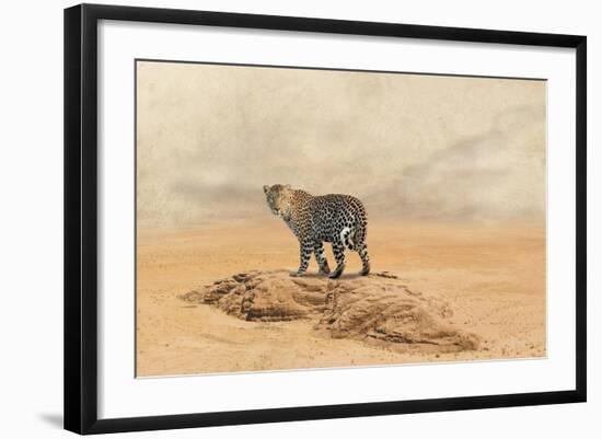 The Leopard 2-Ata Alishahi-Framed Giclee Print