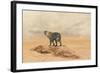 The Leopard 2-Ata Alishahi-Framed Giclee Print