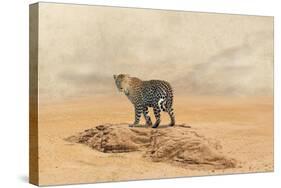 The Leopard 2-Ata Alishahi-Stretched Canvas