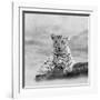 The Leopard 2A2-Ata Alishahi-Framed Giclee Print