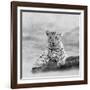 The Leopard 2A2-Ata Alishahi-Framed Giclee Print