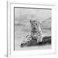 The Leopard 2A2-Ata Alishahi-Framed Giclee Print