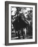 The Leopard Man-null-Framed Photo