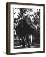 The Leopard Man-null-Framed Photo