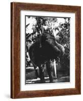 The Leopard Man-null-Framed Photo