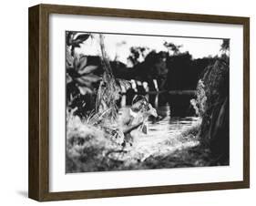 The Leopard Man-null-Framed Photo