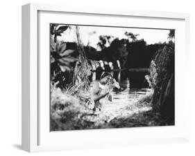 The Leopard Man-null-Framed Photo