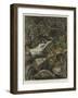 The Leopard's Resting-Place, a Corner of My Garden-Harry Hamilton Johnston-Framed Giclee Print