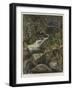 The Leopard's Resting-Place, a Corner of My Garden-Harry Hamilton Johnston-Framed Giclee Print