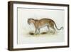 The Leopard-Edward Lear-Framed Giclee Print