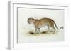 The Leopard-Edward Lear-Framed Giclee Print