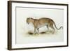 The Leopard-Edward Lear-Framed Giclee Print