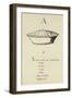 The Letter A-Edward Lear-Framed Giclee Print