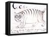 The Letter C of the Alphabet, c.1880 Pen and Indian Ink-Edward Lear-Framed Stretched Canvas