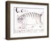 The Letter C of the Alphabet, c.1880 Pen and Indian Ink-Edward Lear-Framed Giclee Print