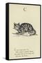 The Letter C-Edward Lear-Framed Stretched Canvas