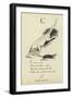 The Letter C-Edward Lear-Framed Giclee Print