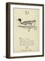 The Letter D-Edward Lear-Framed Giclee Print