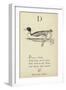 The Letter D-Edward Lear-Framed Giclee Print