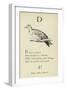 The Letter D-Edward Lear-Framed Giclee Print