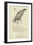 The Letter E-Edward Lear-Framed Giclee Print