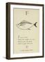 The Letter F-Edward Lear-Framed Giclee Print