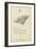 The Letter F-Edward Lear-Framed Giclee Print