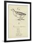 The Letter G-Edward Lear-Framed Giclee Print