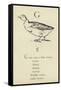 The Letter G-Edward Lear-Framed Stretched Canvas