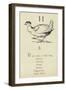 The Letter H-Edward Lear-Framed Giclee Print